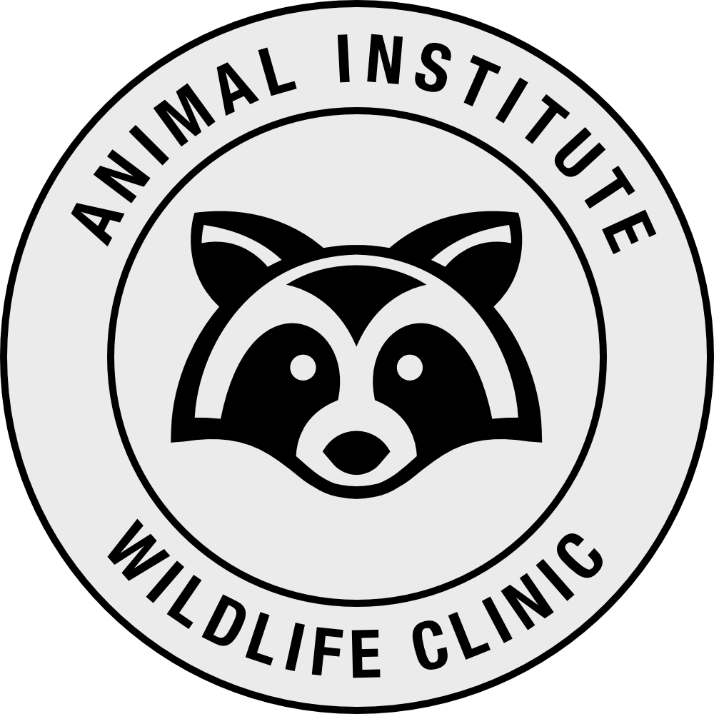 The Animal Institute Wildlife Clinic logo: a raccoon’s face in a round badge